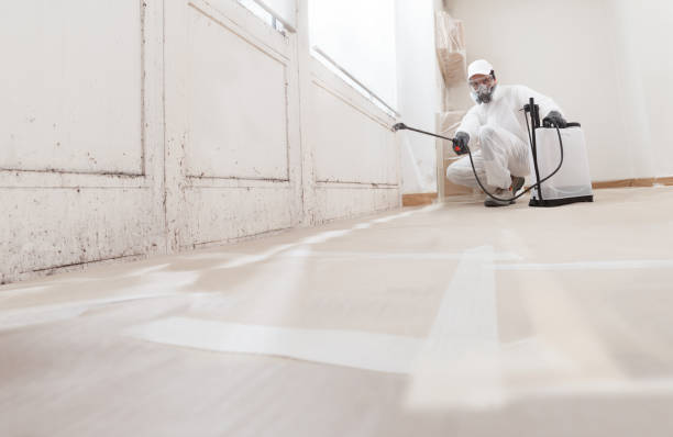 24/7 Emergency Bathroom Mold Removal experts in Paris, TN